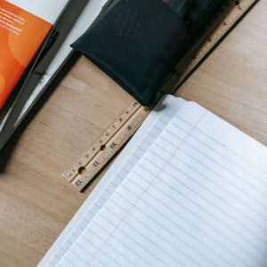 Пенал школьный на молнии, два отделения